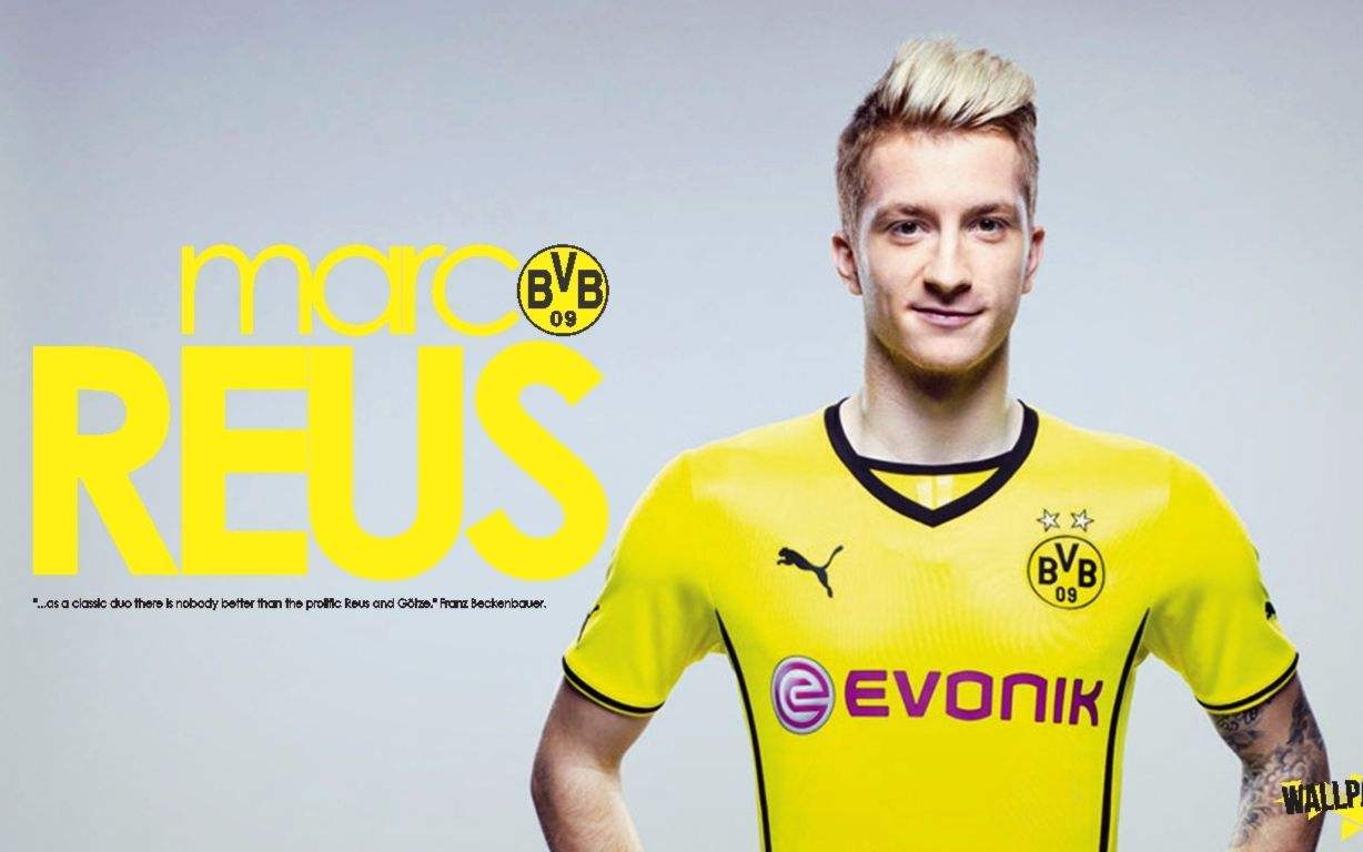 包含多特蒙德迎NBA常规赛关键赛；今晚完成体检；目标明确；团队化学反应显著的词条-九游体育官网