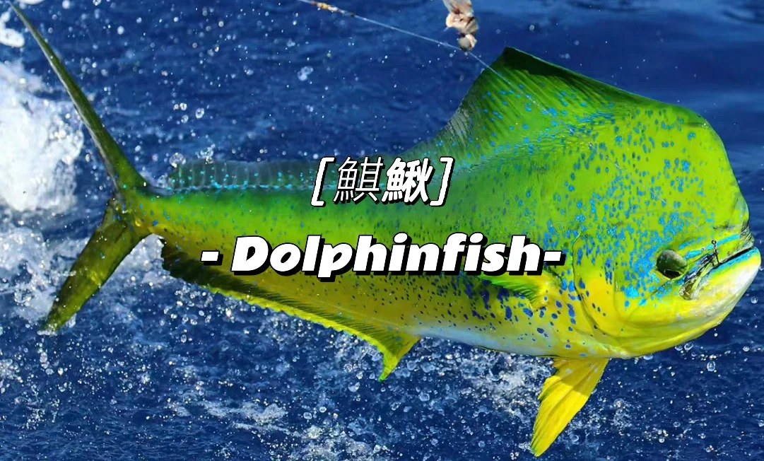 沂(怮?e?-九游体育